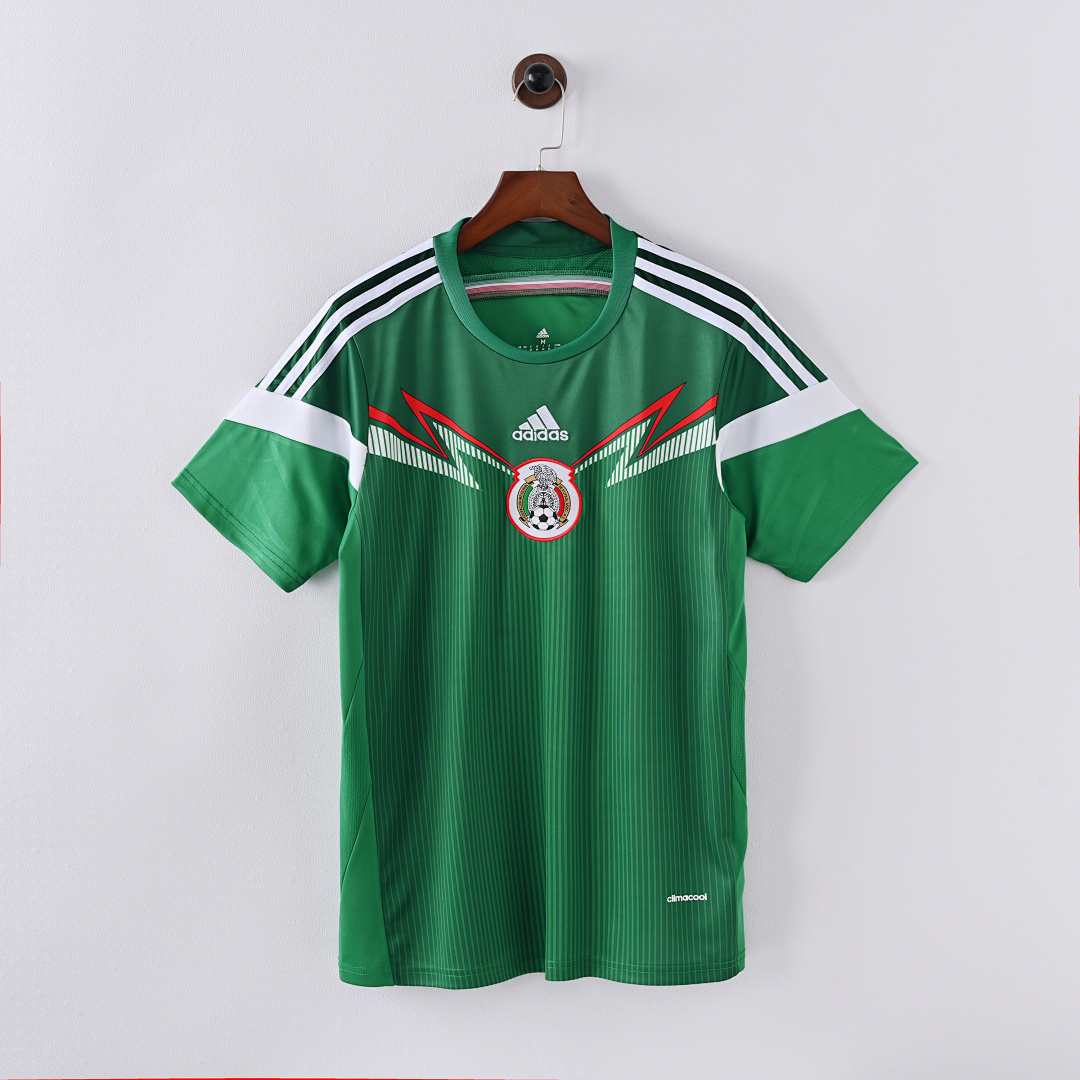 2014 México Local