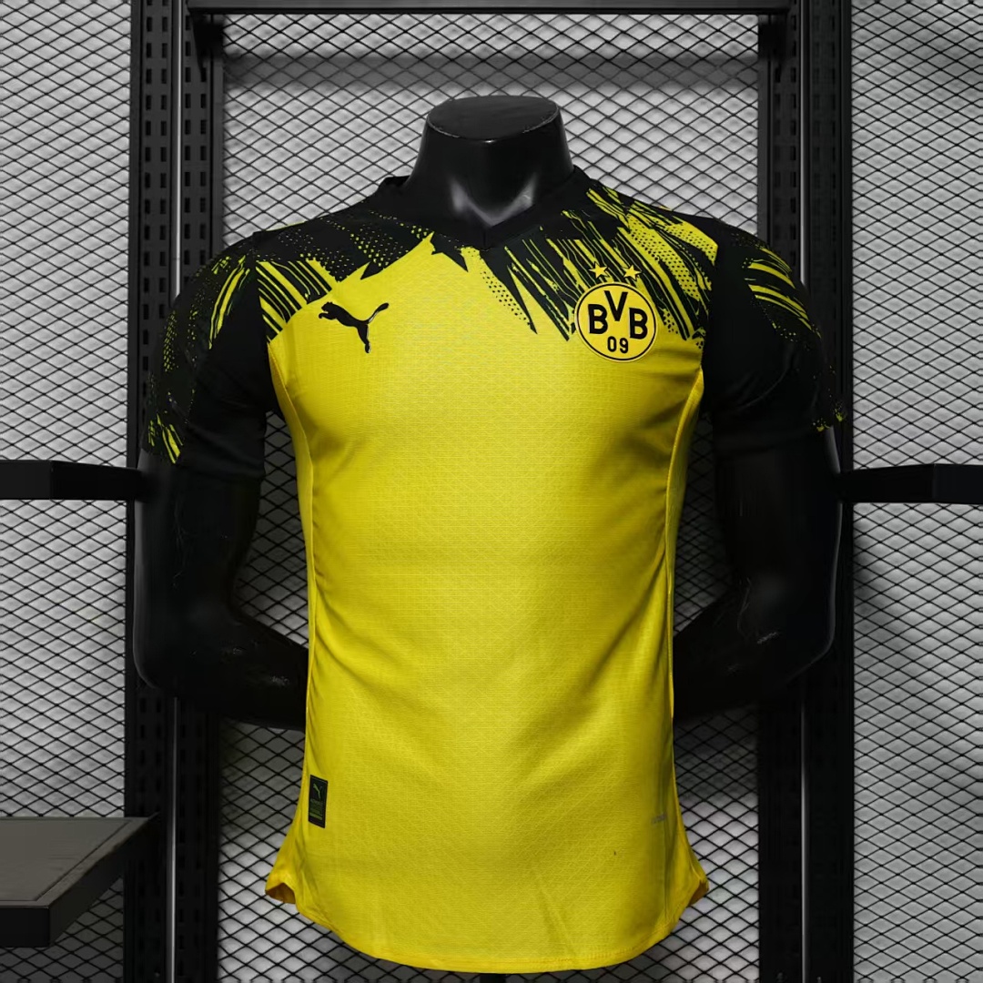 25/26 Borussia Dortmund Local