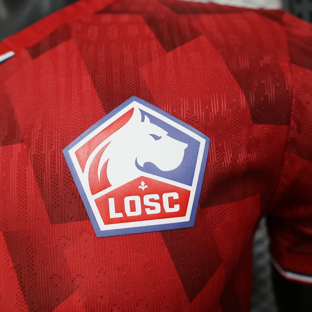 25/26 Lille Local - Imagen 10