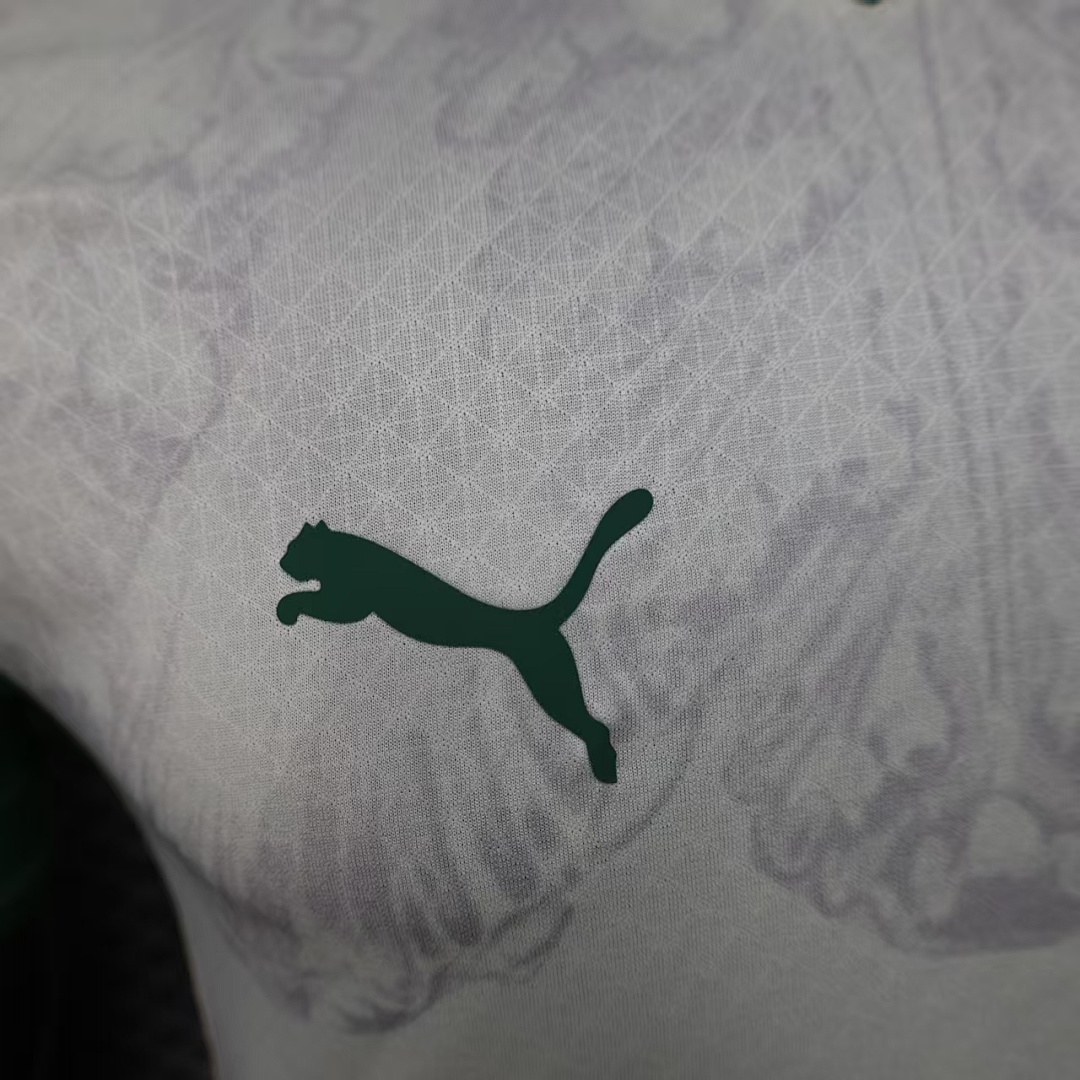 Mundial de Clubes del Palmeiras - Imagen 6